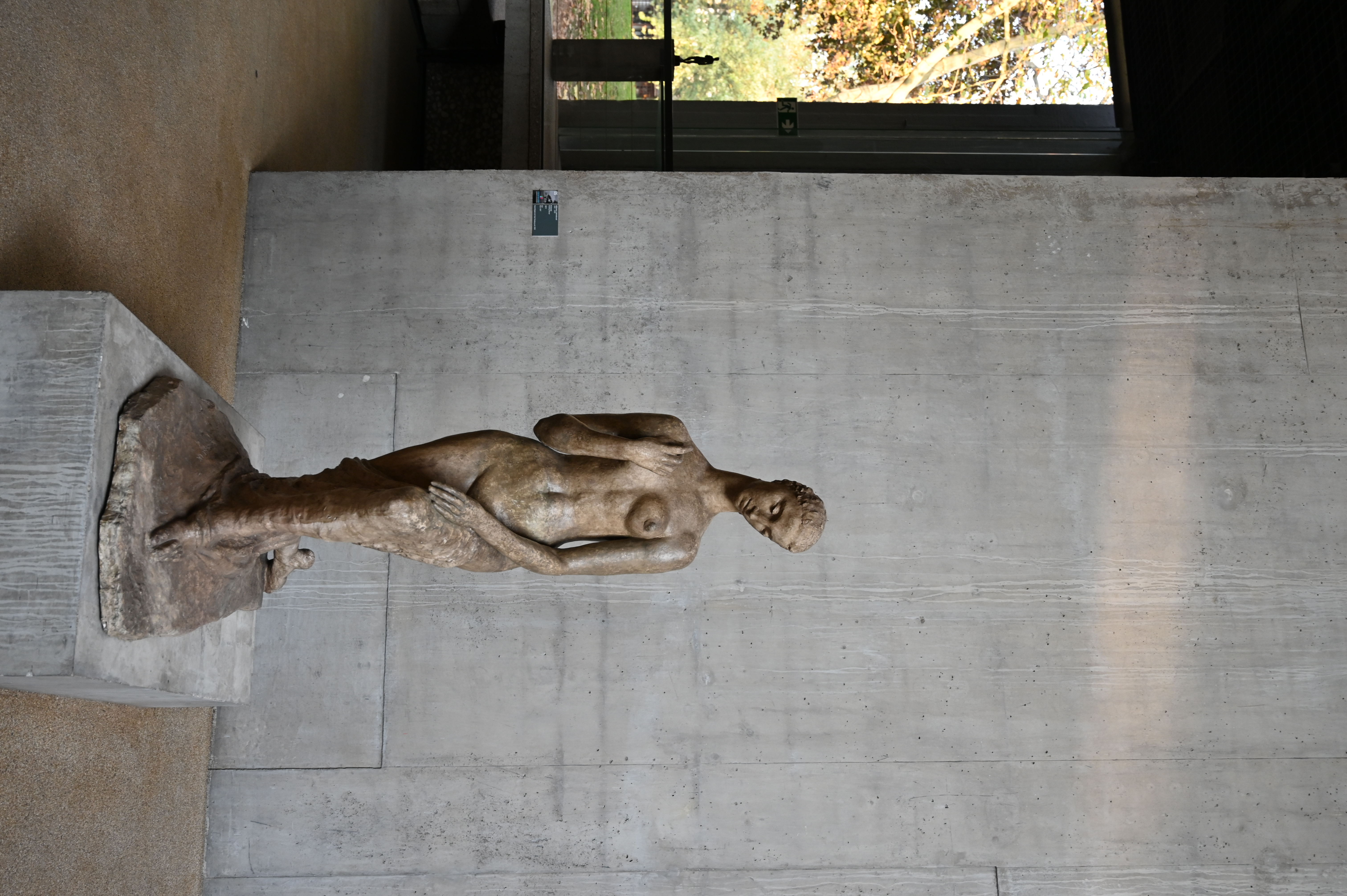 dsc_2475.jpg