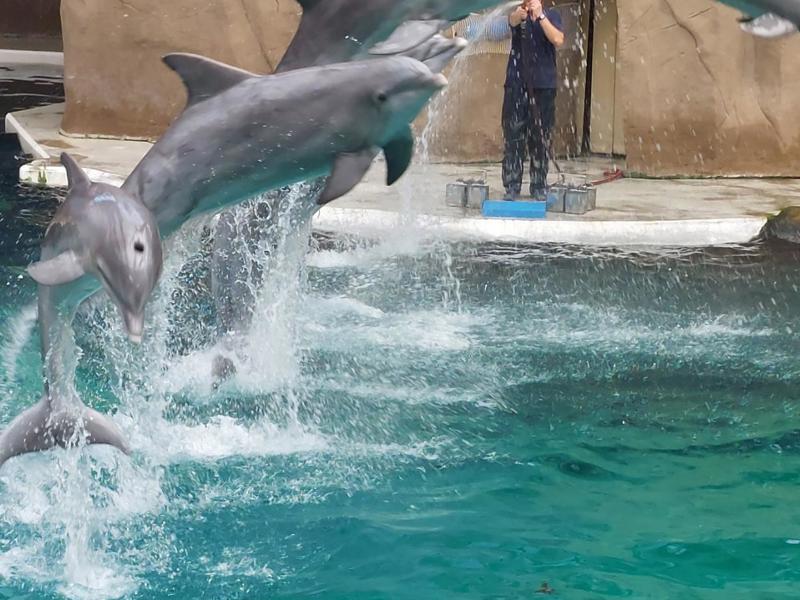 Ein unvergesslicher Tag im Duisburger Zoo