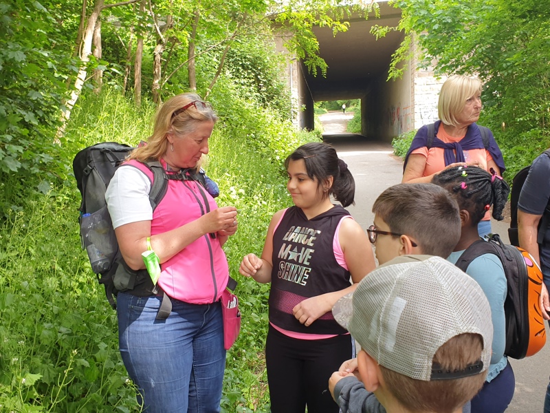 Wandern und Spielen im Wald