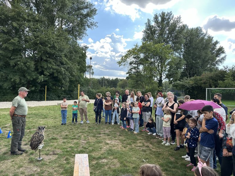 Das Sommerfest 2025 der Bildungslotsen